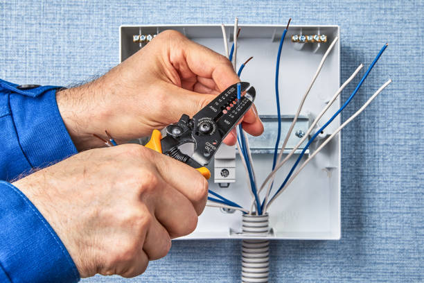 Best Electrical Safety Inspections  in La Plata, NM